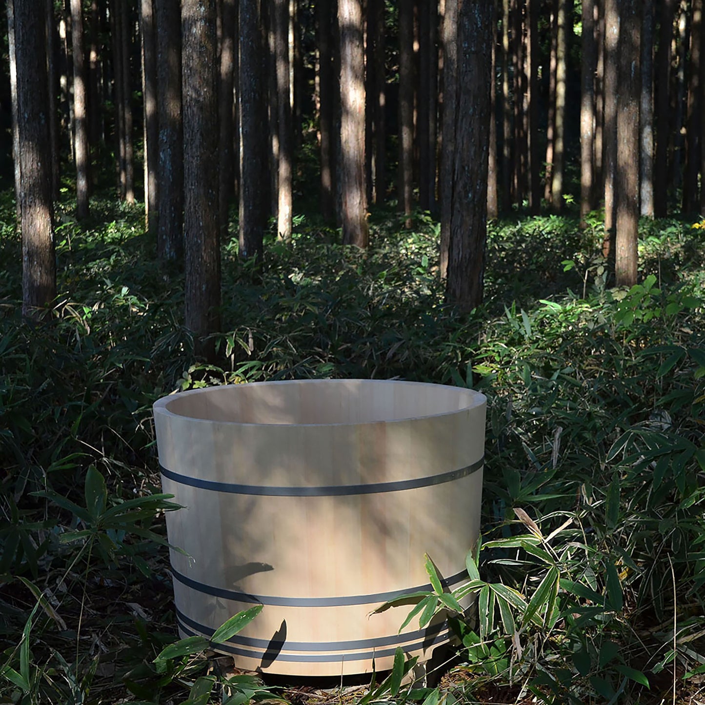 Hinoki Bathtub