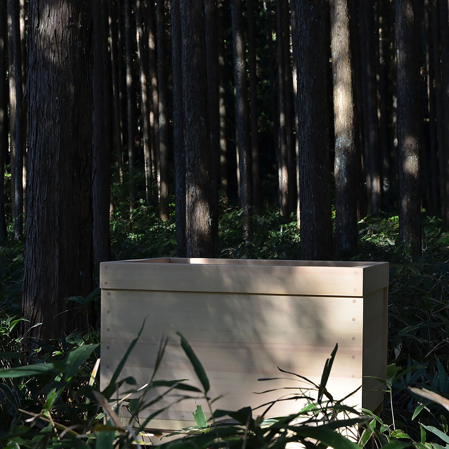 Hinoki Bathtub